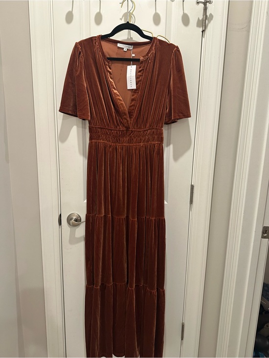 Baltic Born Dresses & Skirts - Baltic Born Rust Velvet Tiered Maxi Dress